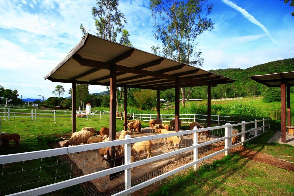 Aristo Chic Resort & Farm Suan Phueng Luaran gambar